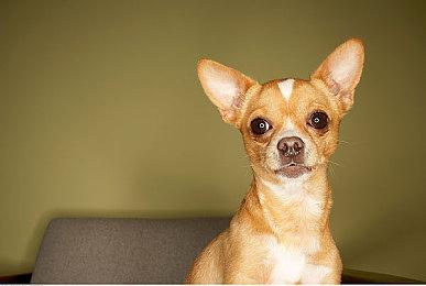 无限构筑，颠覆性革新！国产动作肉鸽续作《霓虹深渊2》首曝！